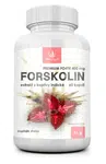 ALLNATURE Forskolin Premium forte 400 mg 60 kapslí