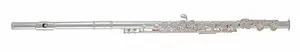Roy Benson FL-602E