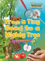 From a Tiny Seed to a Mighty Tree - Ruth Owen