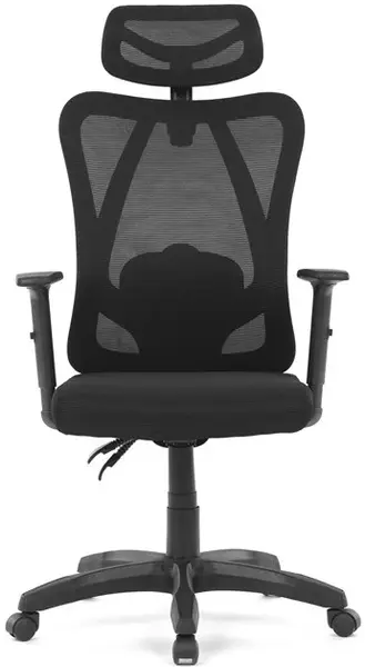 AUTRONIC Kancelářská židle KA-R215 BK, černá, síťovina