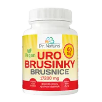 DR.NATURAL URO Brusinky 60 tablet
