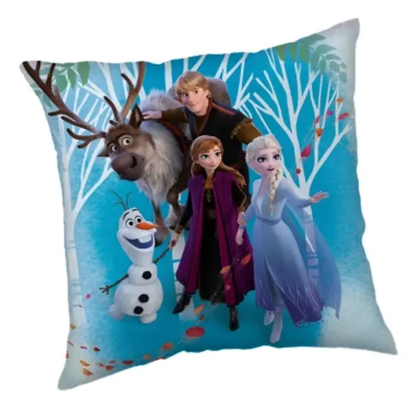 Dětský polštářek Disney Frozen, 40x40 cm