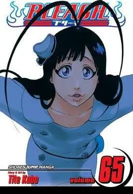 Bleach, Vol. 65 - Tite Kubo