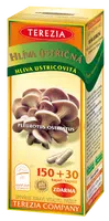 TEREZIA Hlíva ústřičná 180 kapslí
