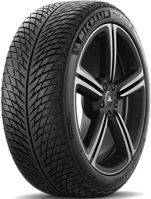 MICHELIN 245/45 R 18 100V PILOT_ALPIN_5 TL XL M+S 3PMSF FP
