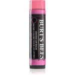 Burt’s Bees Tinted Lip Balm balzam na pery odtieň Pink Blossom 4.25 g