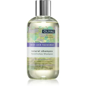 Olival Natural Mint and Lavender prírodný šampón pre suché a poškodené vlasy 250 ml