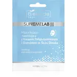 Bielenda Professional Supremelab Hydra Glow hydratačná plátienková maska s extraktom zo slimáka 1 ks