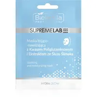 Bielenda Professional Supremelab Hydra Glow hydratačná plátienková maska s extraktom zo slimáka 1 ks
