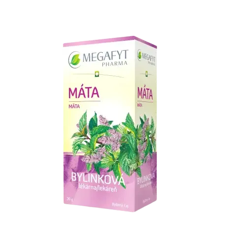 MEGAFYT Bylinková lekáreň Mata vrecúška 20 x 1.5 g