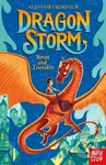 Dragon Storm: Tomas and Ironskin - Alastair Chisholm - kniha z kategorie Pro děti