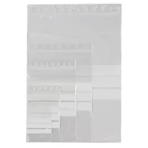 1000 x Sada 1000 kusů 50 mikronových sáčků na zip s popisovatelnými pruhy, 5 formátů  | RAJA