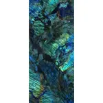 Dlažba Emil Tele di Marmo Lumia labradorite 120x278 cm lesk EN7Z