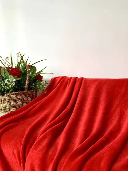 Mikroplyšová deka SOFT, červená Rozmer: 200 x 220 cm