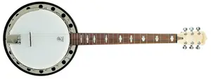 Deering Goodtime Six Resonator