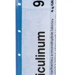 Boiron FOLLICULINUM CH9 granule 4 g