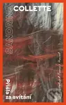 Přišla za svítání - Sandrine Collette - kniha z kategorie Společenská beletrie