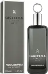 Karl Lagerfeld Classic Grey - EDT 100 ml