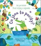 První otázky a odpovědi: Co jsou to pocity? - Katie Daynes - kniha z kategorie Pro děti