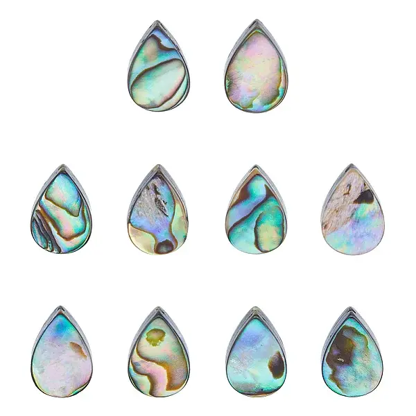 10Pcs Abalone Shell/Paua Shell Beads