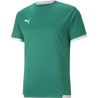 Puma TEAM LIGA JERSEY Pánske futbalové tričko, zelená, veľkosť