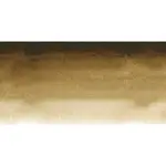 Akvarelová barva Sennelier 1/2 – 205 Raw Umber