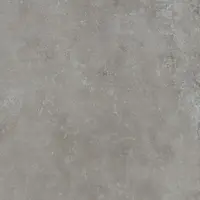 Dlažba Rako Dale elephant 60x60 cm reliéfna DAR62880.1