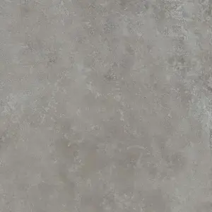 Dlažba Rako Dale elephant 60x60 cm reliéfna DAR62880.1