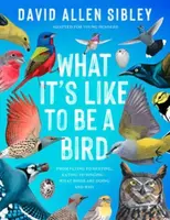 What It's Like to Be a Bird (Adapted for Young Readers) - kniha z kategorie Pro děti