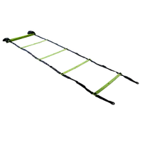 Power System Tréninkový žebřík