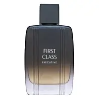Aigner First Class Executive toaletní voda pro muže 100 ml