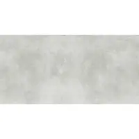 Eco Fantastic Light Grey 59,8/119,8