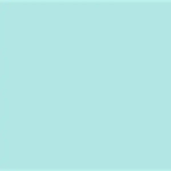 Skleněný panel 60/60 Mono Frost