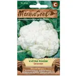 Karfiol neskorý Octavian