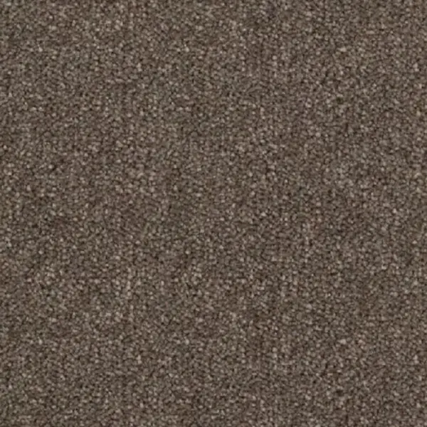 Kobercová Krytina 4m Dragon 31431