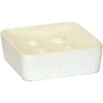 Mydlovnička  Notus biela