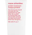 EVO Mane attention protein treatment 150ml