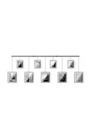 Vícerámečky na fotografie s lištou Umbra