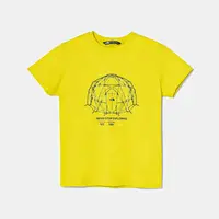 Dětské bavlněné tričko The North Face GRAPHIC RELAXED S/S TEE zelená barva, s potiskem, NF0A8AXGJE31