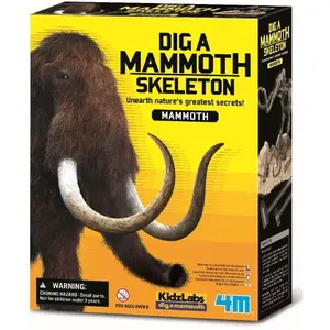 Skelet - Mamut