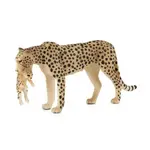 Mojo Gepard s mládětem