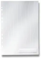 Závěsné desky L Leitz CombiFiles, 5 ks - transparentní