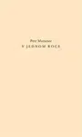 V jednom roce - Petr Mazanec