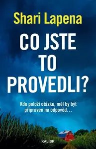 Co jste to provedli? (poškozená) - Shari Lapena