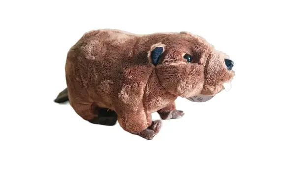 Bobor európsky plyšový 25cm