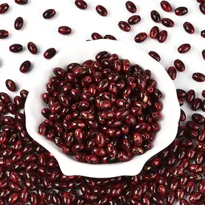 Oval Glass Seed Beads