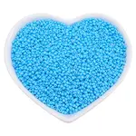 FGB Glass Seed Beads
