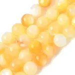 Natural Yellow Shell Beads Strands