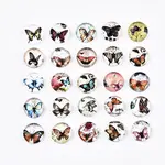 Printed Glass Half Round/Dome Cabochons
