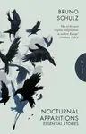 Nocturnal Apparitions - Bruno Schulz
